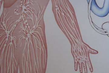 Manuelle Lymphdrainage